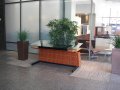 110_plaza_06.jpg